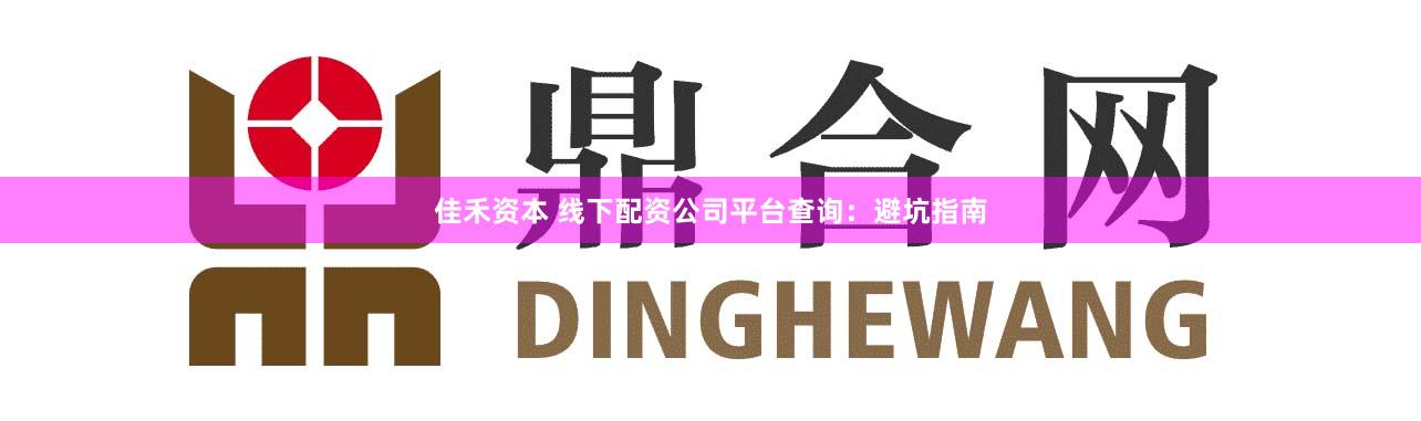 佳禾资本 线下配资公司平台查询：避坑指南