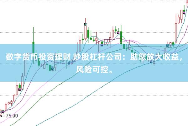 数字货币投资理财 炒股杠杆公司：助您放大收益，风险可控。