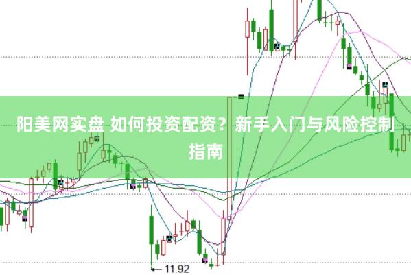 阳美网实盘 如何投资配资？新手入门与风险控制指南