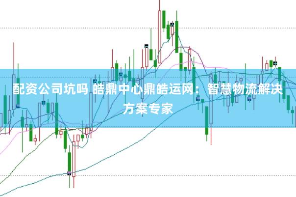 配资公司坑吗 皓鼎中心鼎皓运网：智慧物流解决方案专家