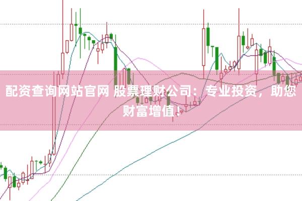 配资查询网站官网 股票理财公司：专业投资，助您财富增值！