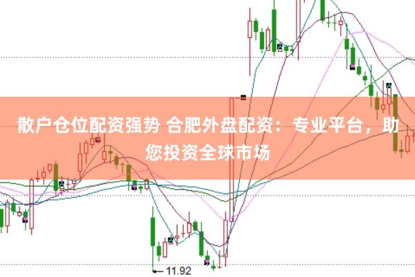 散户仓位配资强势 合肥外盘配资：专业平台，助您投资全球市场