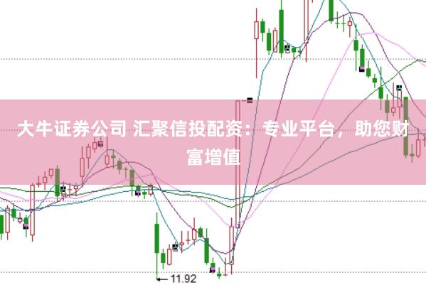 大牛证券公司 汇聚信投配资：专业平台，助您财富增值