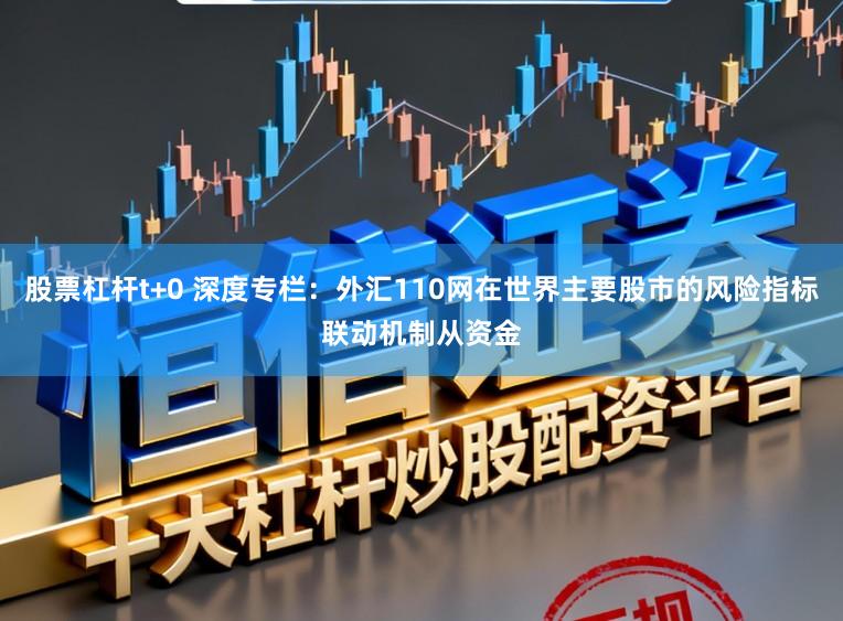 股票杠杆t+0 深度专栏：外汇110网在世界主要股市的风险指标联动机制从资金